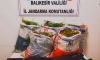 Ayvalık'taki uyuşturucu operasyonunda 5 şüpheli gözaltına alındı