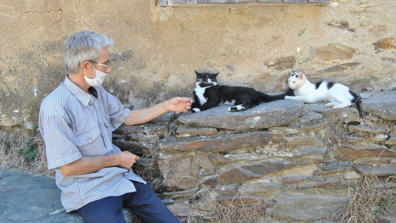 Köyden Durmuş Yakut ise "Köyümüzde insan sayısı 5, kedi sayısı 15. Onlarla baş başa kaldık. Kimse de gelmeyince kedilerle birlikte hayatımızı sürdürüyoruz." ifadelerini kullandı.
