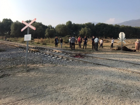 Akşehirde yük treninin çarptığı sürüdeki 8 hayvan telef oldu