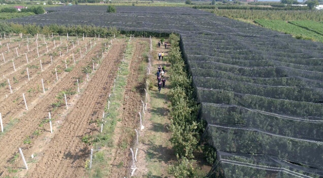 Bursada drone destekli uyuşturucu operasyonu