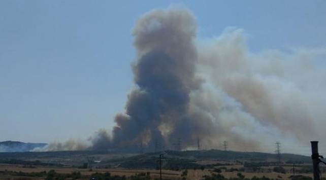 Çanakkalede orman yangını