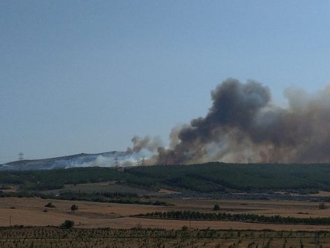 Çanakkalede orman yangınına müdahale ediliyor