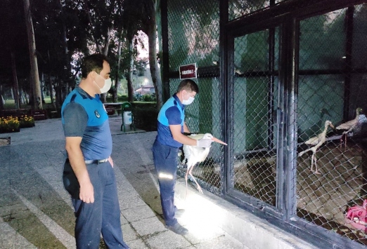 Mersinde bulunan yaralı leylek tedaviye alındı