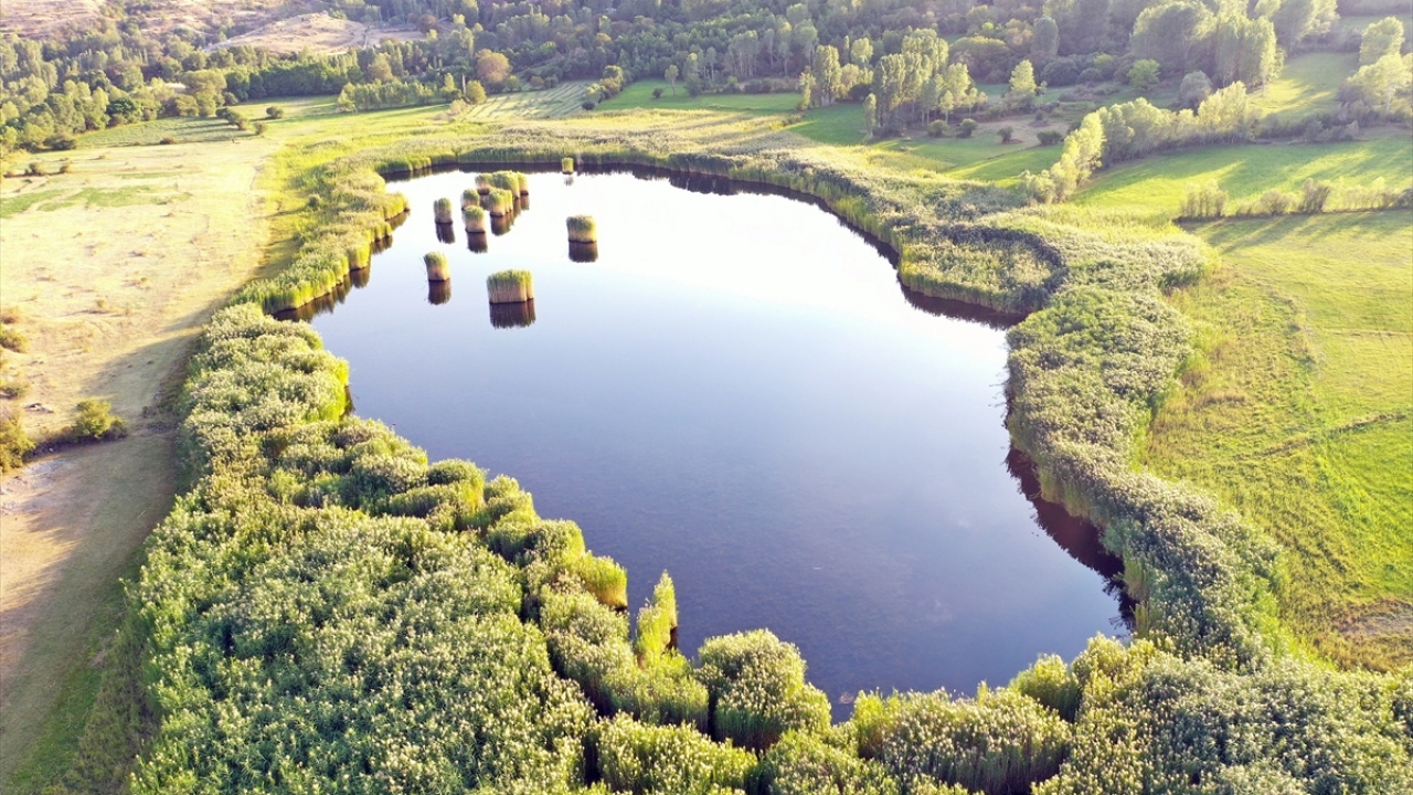 Iğdır`da bulunan doğa harikası Üçkaya gölü, her mevsim sunduğu güzellikleriyle büyülüyor. 
