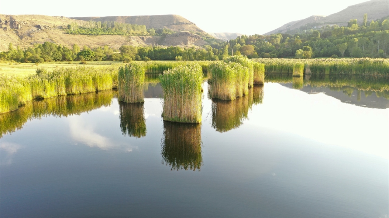 Tuzluca ilçesine bağlı Üçkaya köyündeki göl, dağlık arazi yapısına sahip bölgede doğaya renk katıyor. 