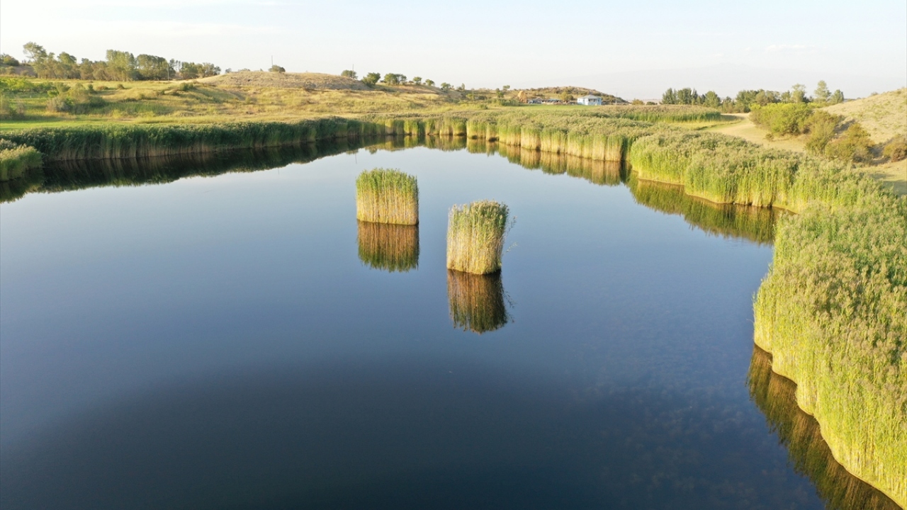 Etrafındaki ağaçlar, sazlıklar ve birbirinden farklı bitki örtüsüyle kartpostallık manzaralar sunan göl, görülmeye değer görüntüler oluşturuyor. 