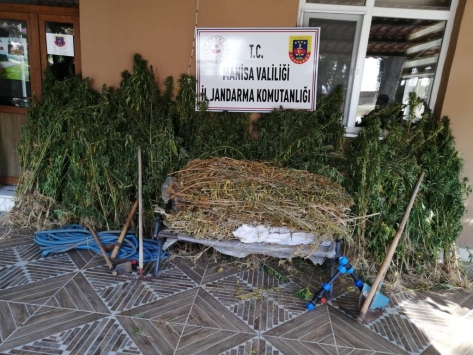 Manisada uyuşturucu operasyonu