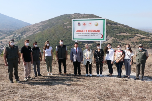 Samsunda hükümlüler 465 bin metrekarelik alana fidan dikti