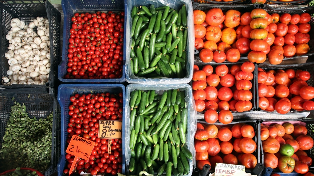 Domates, salatalık, çeri domates, mantar