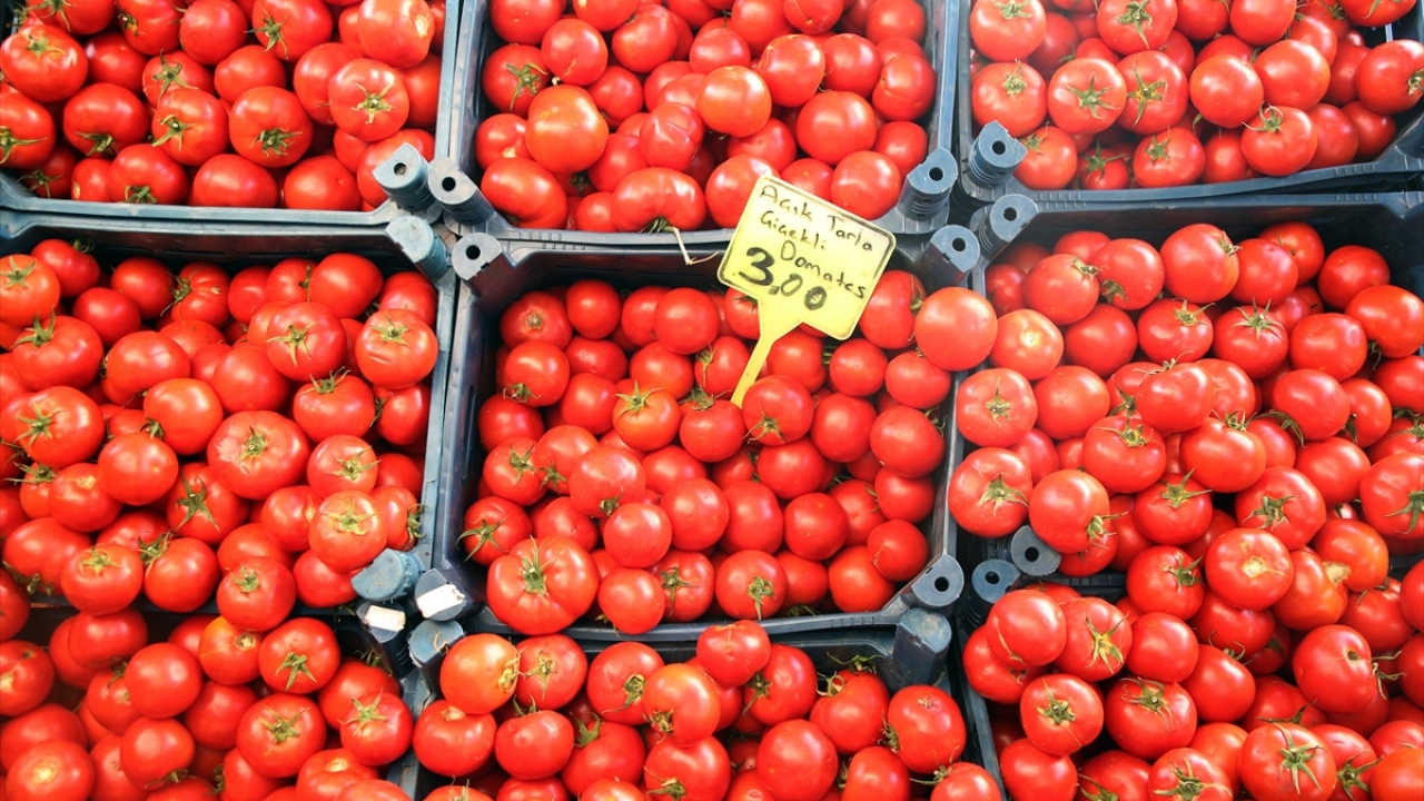 Domates