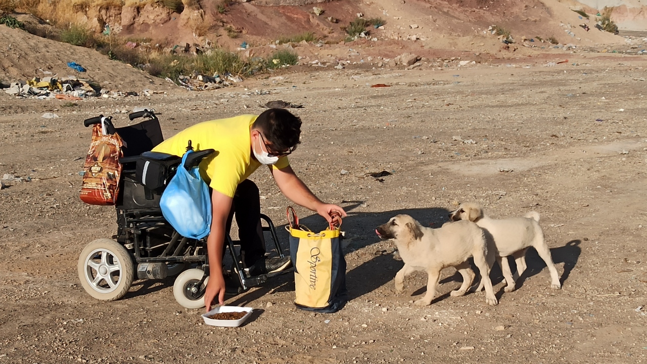 Her gün kendi evinde baktığı hayvanları besledikten sonra kedi ve köpek mamalarını doldurduğu çantaları akülü aracına yükleyen bedensel engelli Uğur Avcı, diğer hayvanları beslemek için yola koyuluyor. 