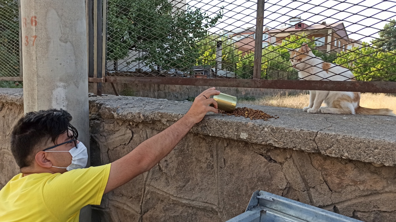 Sosyal medyada "birpatiahlat" adında bir hesap açarak hayvan severlerin de desteğini alan Avcı, her gün akülü tekerlekli aracıyla ilçedeki sokak hayvanlarının yaşam alanlarına mama ve su bırakıyor. 