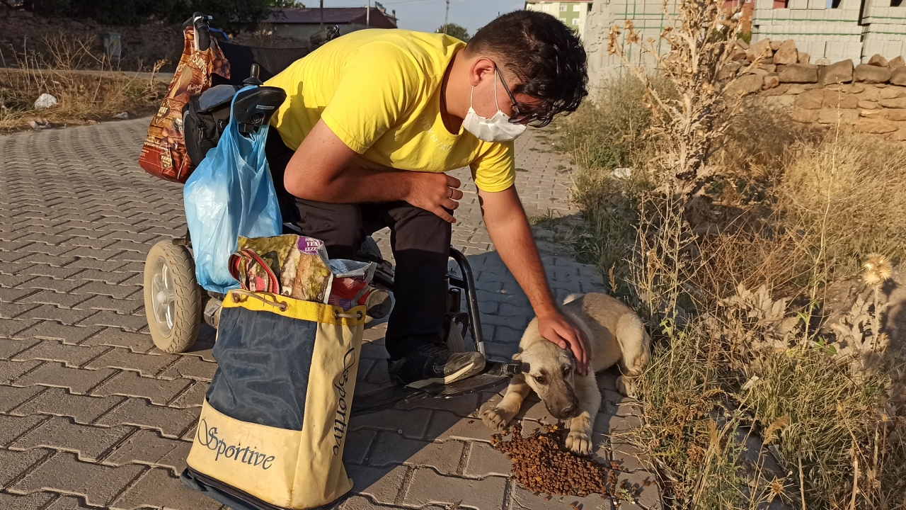 Hergün düzenli olarak sokak hayvanlarını besliyor