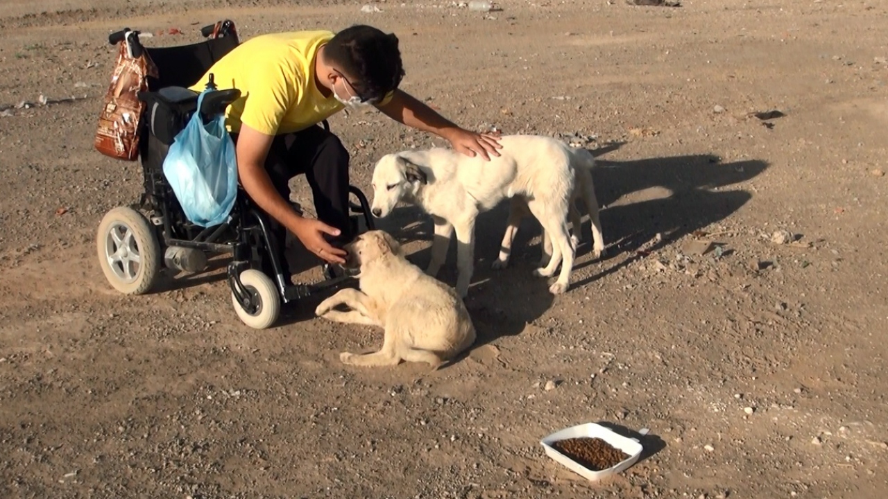 Sosyal medya üzerinden açtığı hesapla mama bağışları topluyor