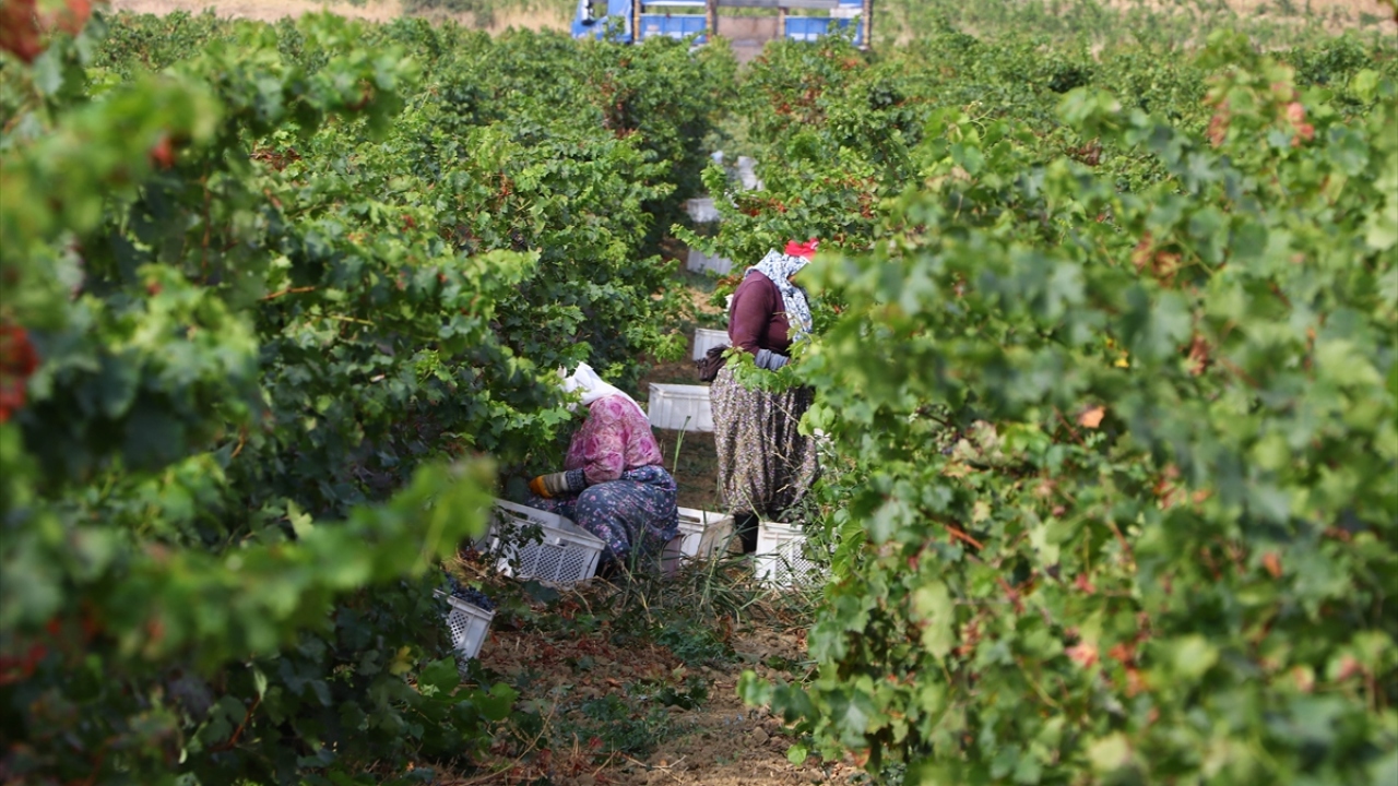 İl Tarım ve Orman Müdürü Oktay Öcal, Tekirdağ`ın önemli bir tarım kenti olduğunu söyledi.