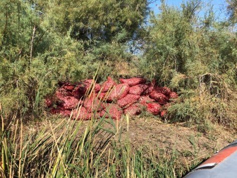 Edirnede kaçak 5 ton kum midyesi ele geçirildi