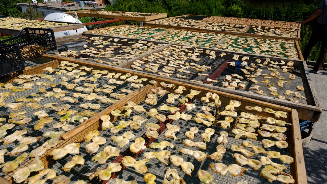 Talepler doğrultusunda üretimin yüzde 25`inin de kuru incir olarak piyasaya sunulduğunu ifade eden Bayır, ürünün kilogramının 30-50 lira arasında alıcı bulduğunu söyledi.