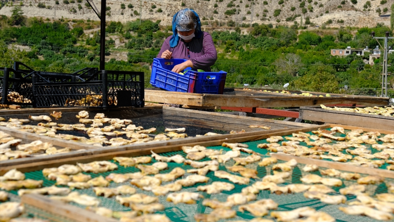 Üretici Tayyar Çabuk da beyaz incir kurusunda raf ömrünün uzun olması dolayısıyla talebin giderek arttığını dile getirdi. 