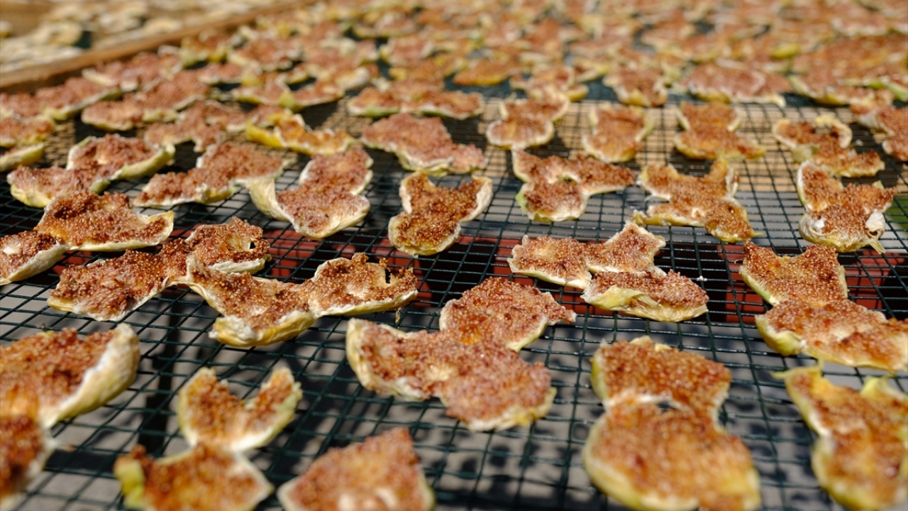 "Kazancımız ve satışlarımız diğer yıllara oranla iyi" 