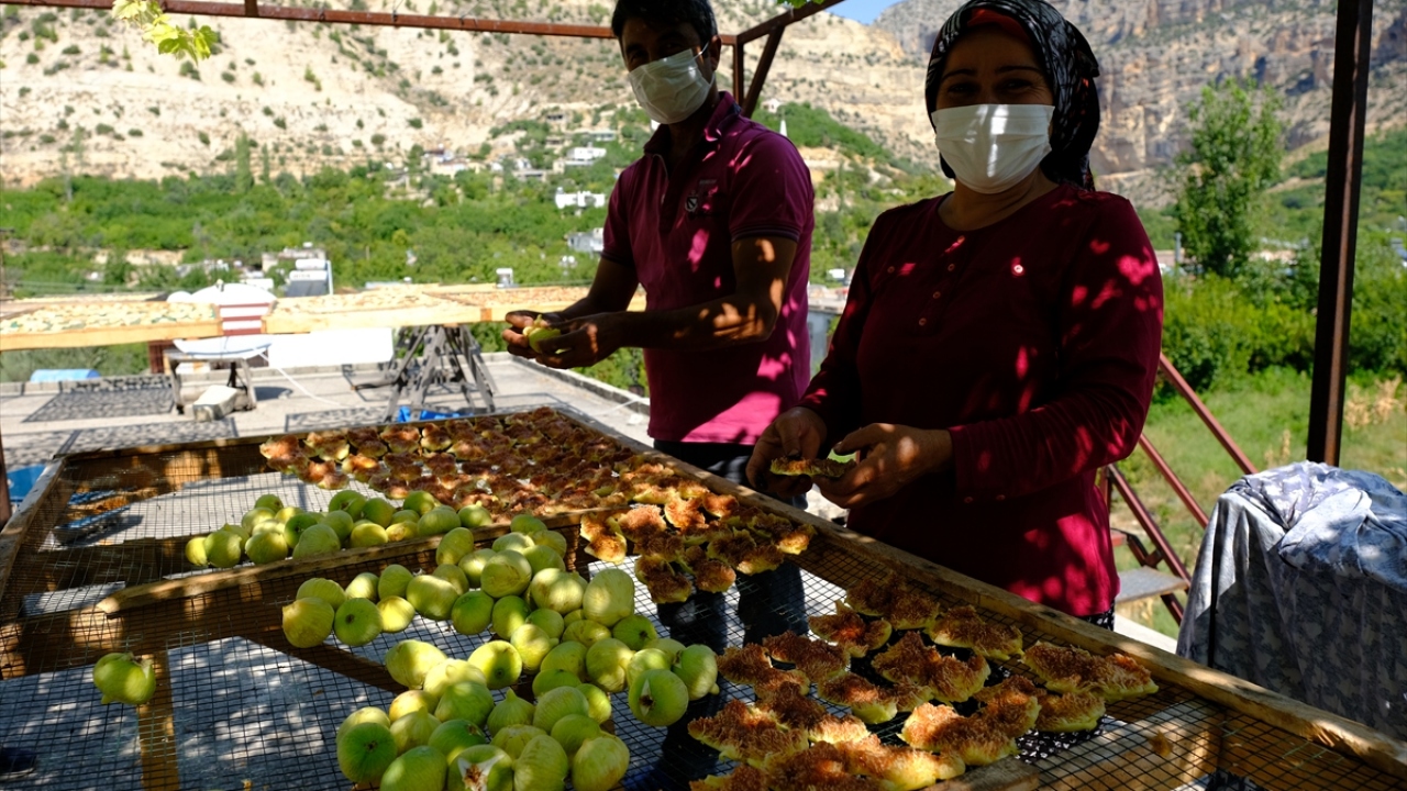 Dere Mahalle Muhtarı Bülent Yüksel ise bu yıl fiyatların üreticiyi memnun ettiğini dile getirerek, beyaz inciri markalaştırmayı hedeflediklerini kaydetti.