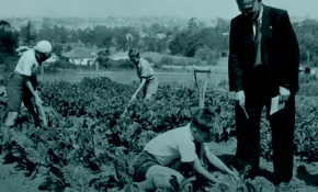 İngiltere'nin sömürgelere gönderdiği yetimler Sıcak Nokta’da