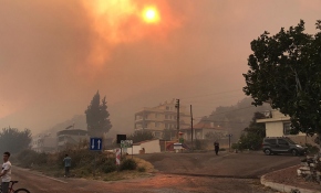 Söke'de makilik alanda başlayan yangın ormana sıçradı