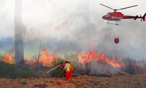 Türkiye’deki orman yangınlarının en büyük sebebi insanlar