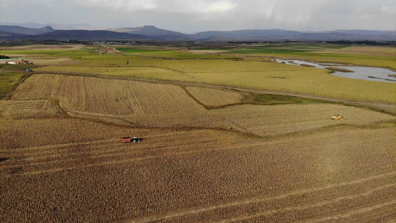Ağrı Tarım ve Orman Müdürü Kenan Engin, kentte 3,5 milyonluk dekar alanda bitkisel üretim yaptıklarını söyledi. 