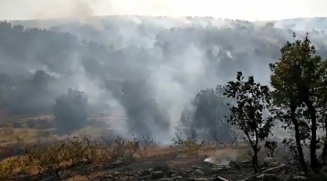 Elazığda orman yangını