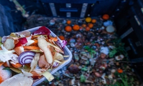 29 Eylül Küresel Gıda Kaybı ve İsrafı Farkındalık Günü