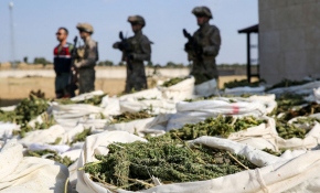 Diyarbakır'da yılbaşından bu yana 42 ton esrar ele geçirildi