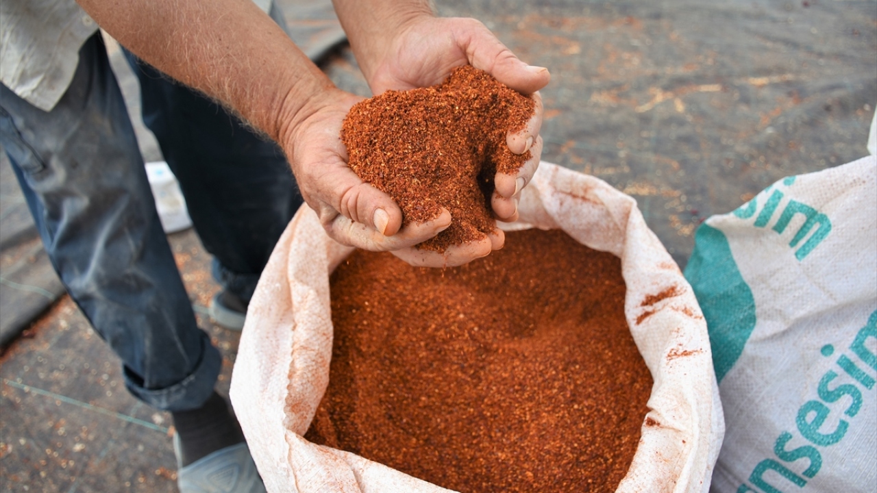 Bölgede tek kalan yapıya ürünlerini getiren üreticiler, odunla yaktıkları ateşi her gün kontrol ediyor.