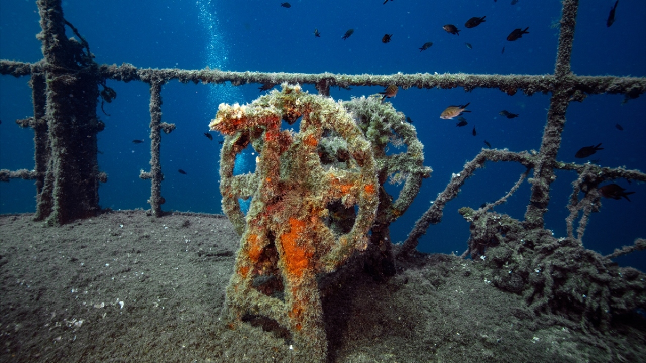 Erdinç Ergün, Çeşme`de Osmanlı-Rus Savaşı sırasında battığı sanılan Osmanlı`ya ait iki gemi batığı da olduğunu ancak tarihi niteliği nedeniyle bölgeye dalışın yasak olduğunu kaydetti.