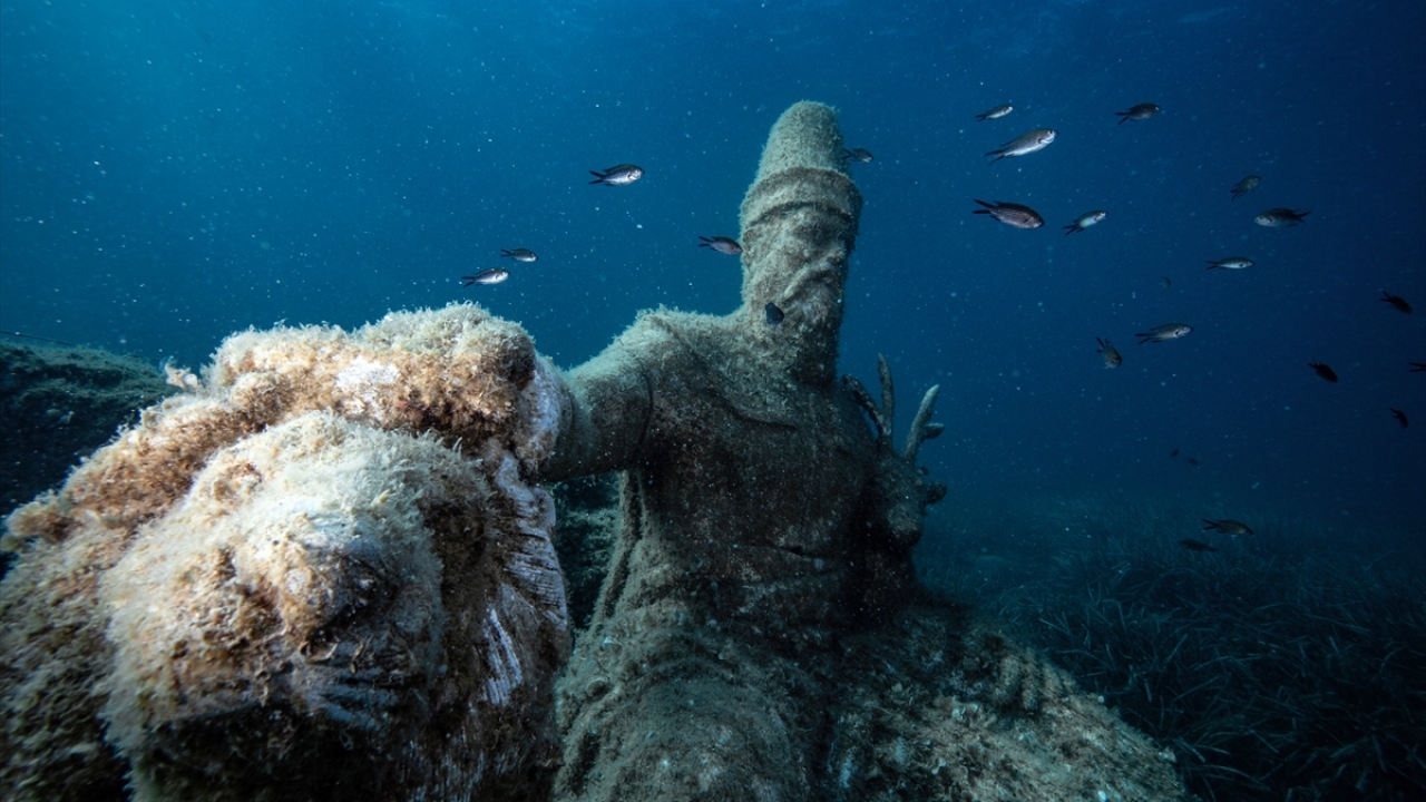 Bölgede 20 yıldır bulunduklarını kaydeden Ergün, son 2-3 yıldır vatoz tarlasının cazibe merkezi haline geldiğini ifade etti.
