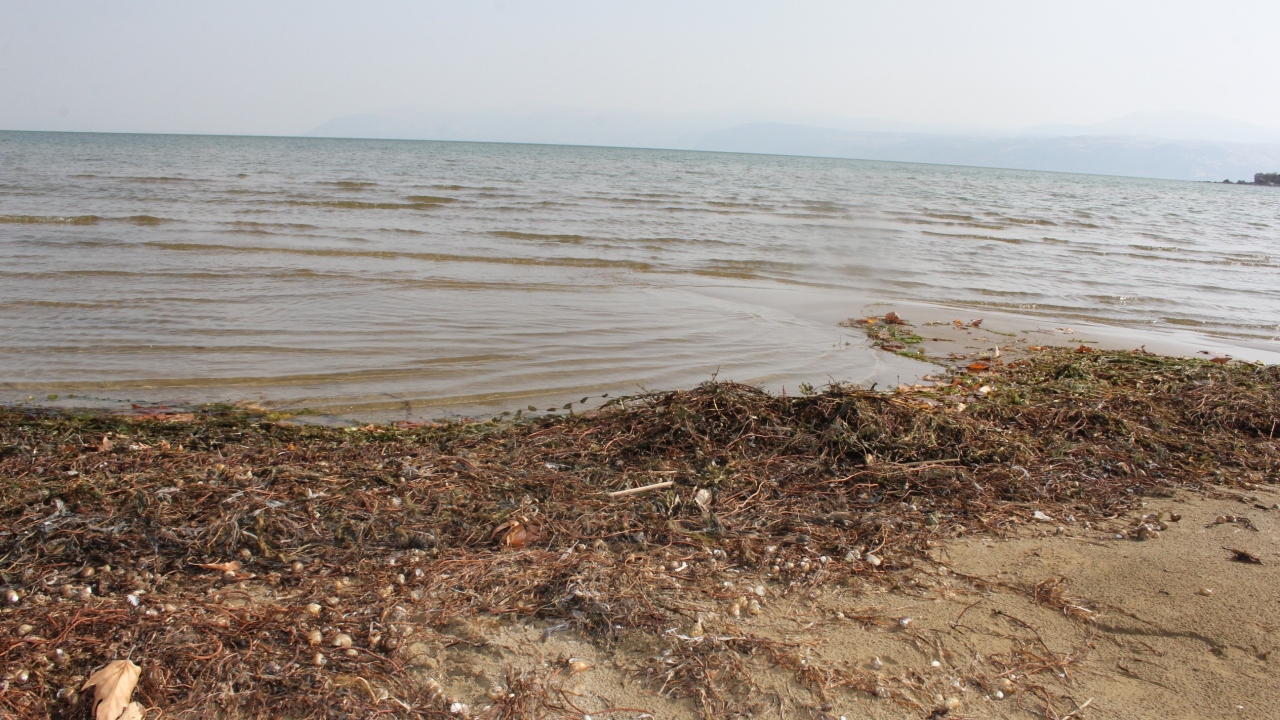 “Devletimizin çıkarmış olduğu yasalara uymak zorundayız”