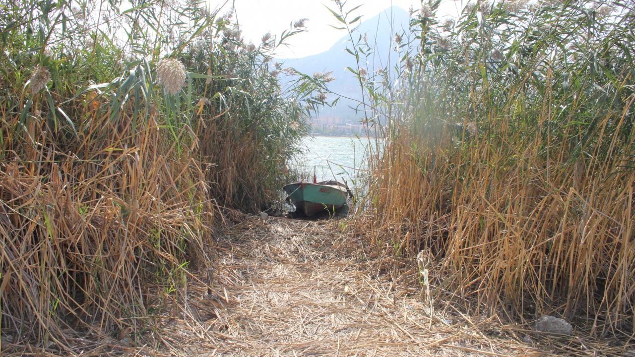 “Balıklandırma gelişigüzel yapılmamalı”