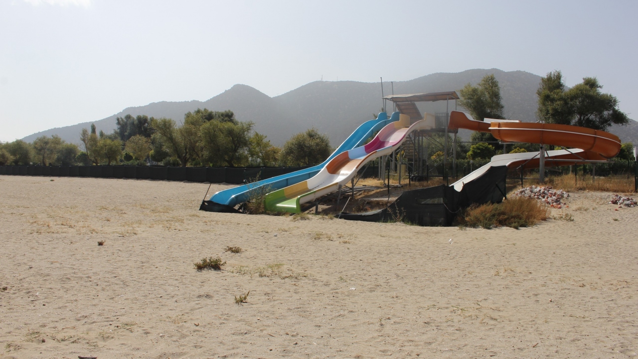 “10 balık türünden sadece bir tane kaldı” 