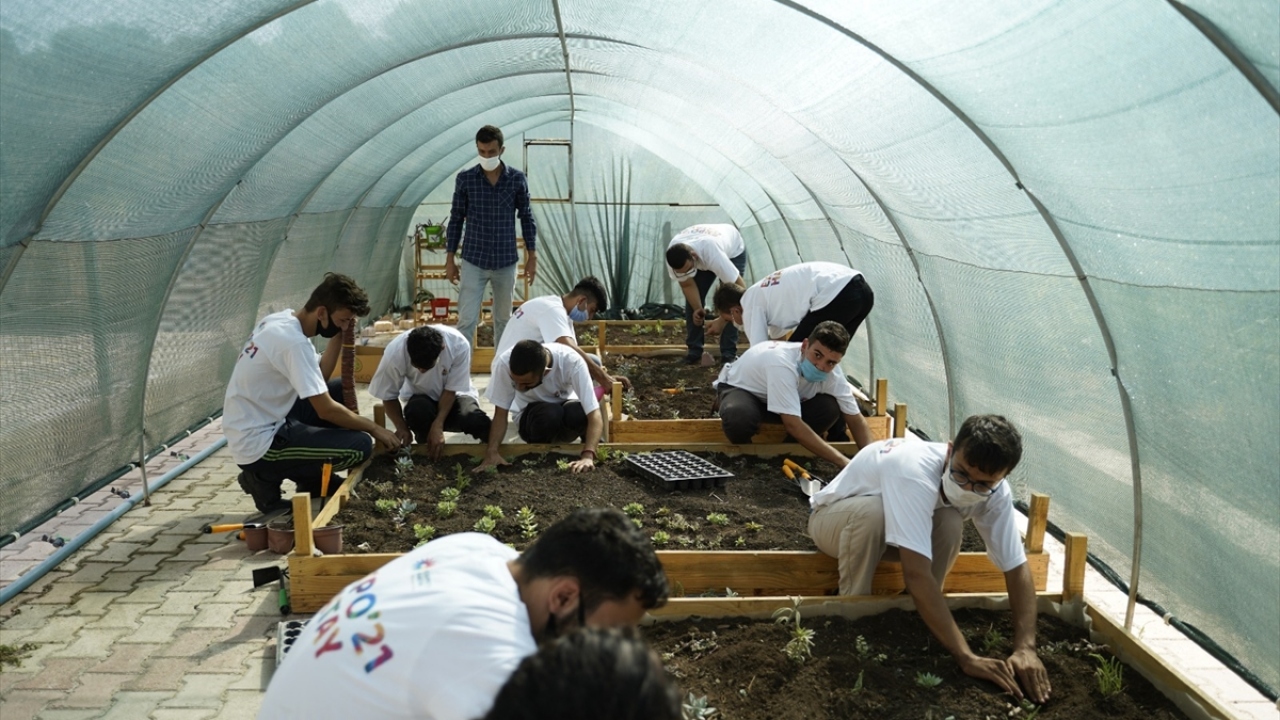 Büyükşehir Belediyesinden yapılan açıklamaya göre, EXPO Akademiler Birimi Botanik Akademisi ekibi ve Ekinci Özel Eğitim Meslek Okulu iş birliğiyle sera oluşturuldu.