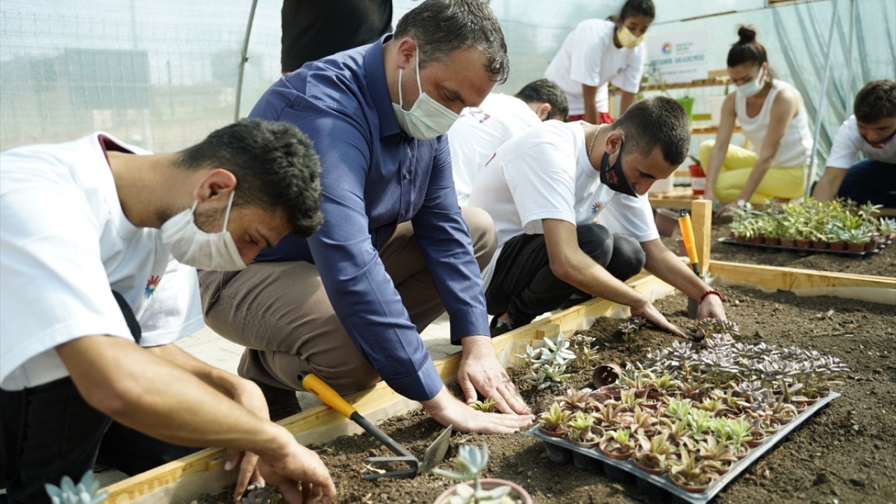 Burada üretilecek bitkiler, gelecek yıl yapılacak organizasyonda alanları renklendirecek.