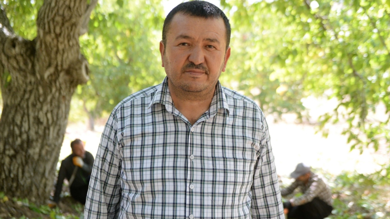 Üreticilerden Ömer Çetinkaya da Çağlayancerit`in topraklarının bereketli, ceviz ağaçlarının da veriminin yüksek olduğunu söyledi.