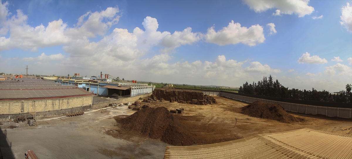 Tarımsal ürünlerin tarlada kalan atıklarını toplayıp tesiste yakarak enerjiye dönüştüren firma, ayda 5 bin hanenin elektriğini sağlıyor.