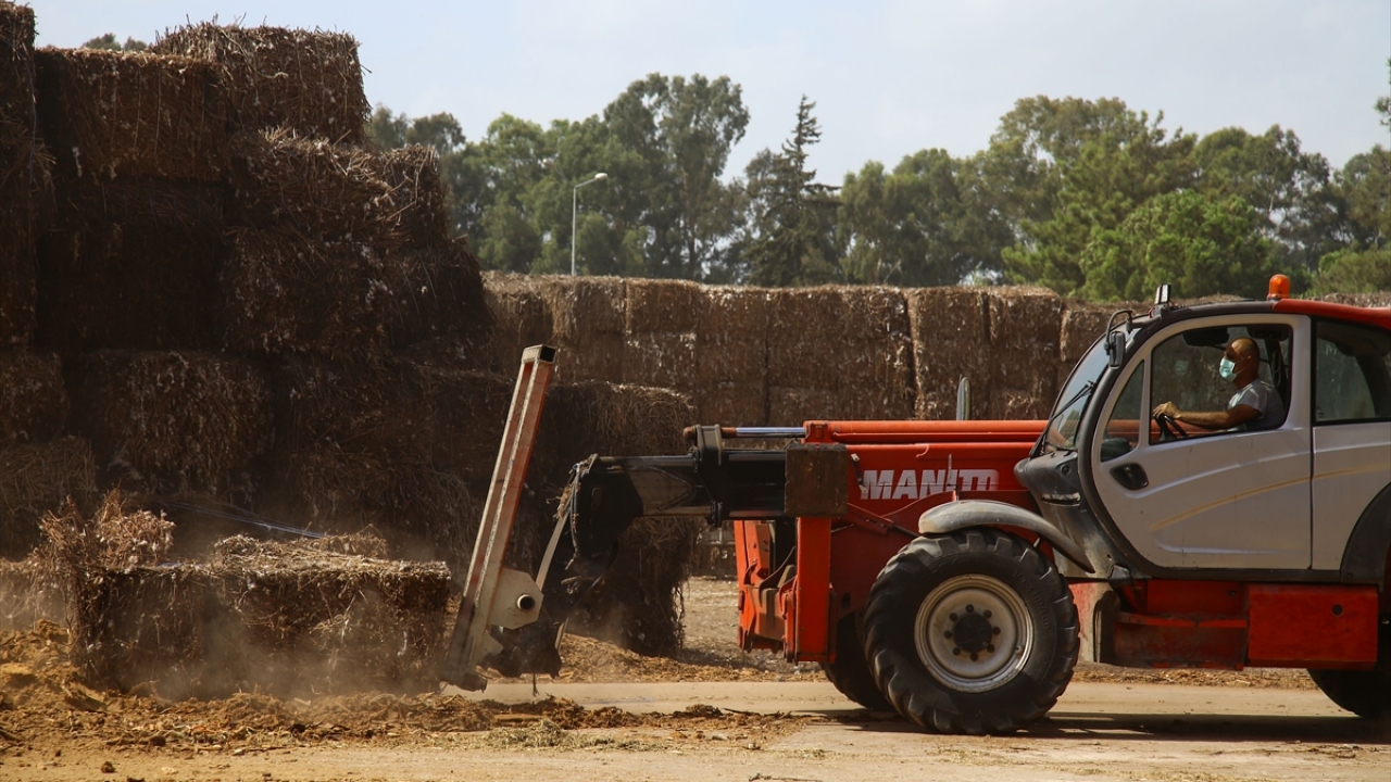 Milli, ilk etapta sadece kendi işletmelerindeki atıkları değerlendirmek amacıyla kurduğu tesisini şu anda daha da geliştirdiğini ve Adana`daki hemen hemen her tarımsal atığı alır hale geldiklerini belirtti.