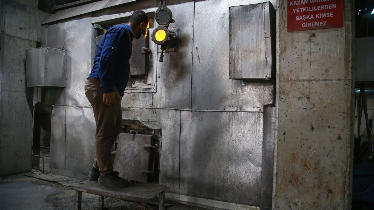 Şu an tesislerinde pamuk, mısır, soya ve şeftali çekirdeğinin yanı sıra ormandaki atıkların da değerlendirildiğini dile getiren Milli, her tarımsal atığın burada işlenerek enerjiye dönüştüğünü aktardı.