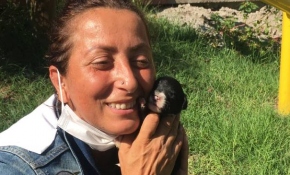 Yavru köpekleri suni teneffüsle hayata döndürdü