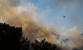 İzmir'de orman yangını