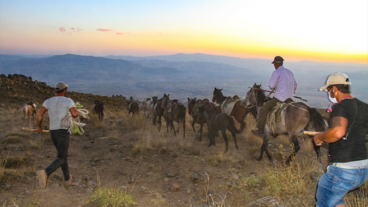 Katırcılık artık meslekleri haline geldi