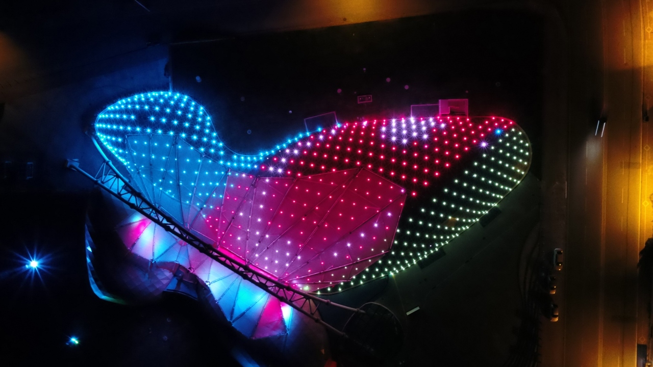 Konya / Tropikal Kelebek Bahçesi