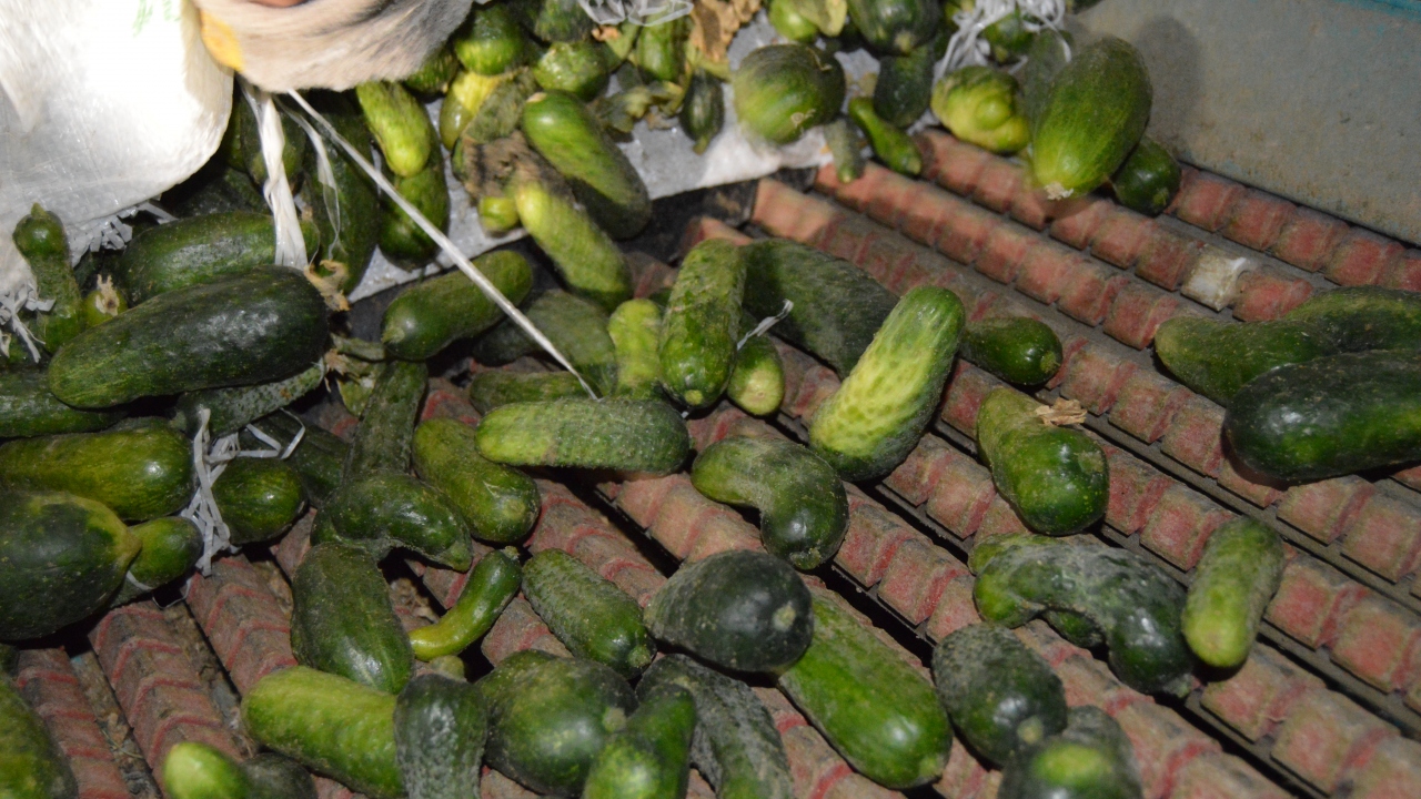 Afyonkarahisar`ın ardından sıralamada İzmir ile Balıkesir`in geldiğini belirten Acar, şunları kaydetti: