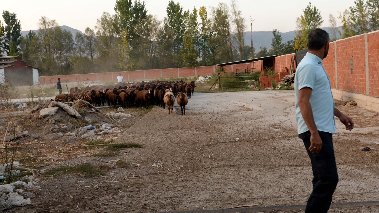 Yürür, Genç Çiftçi Projesi kapsamında kendisine 35 erkek ile 2 dişi koyun verildiğini söyledi.