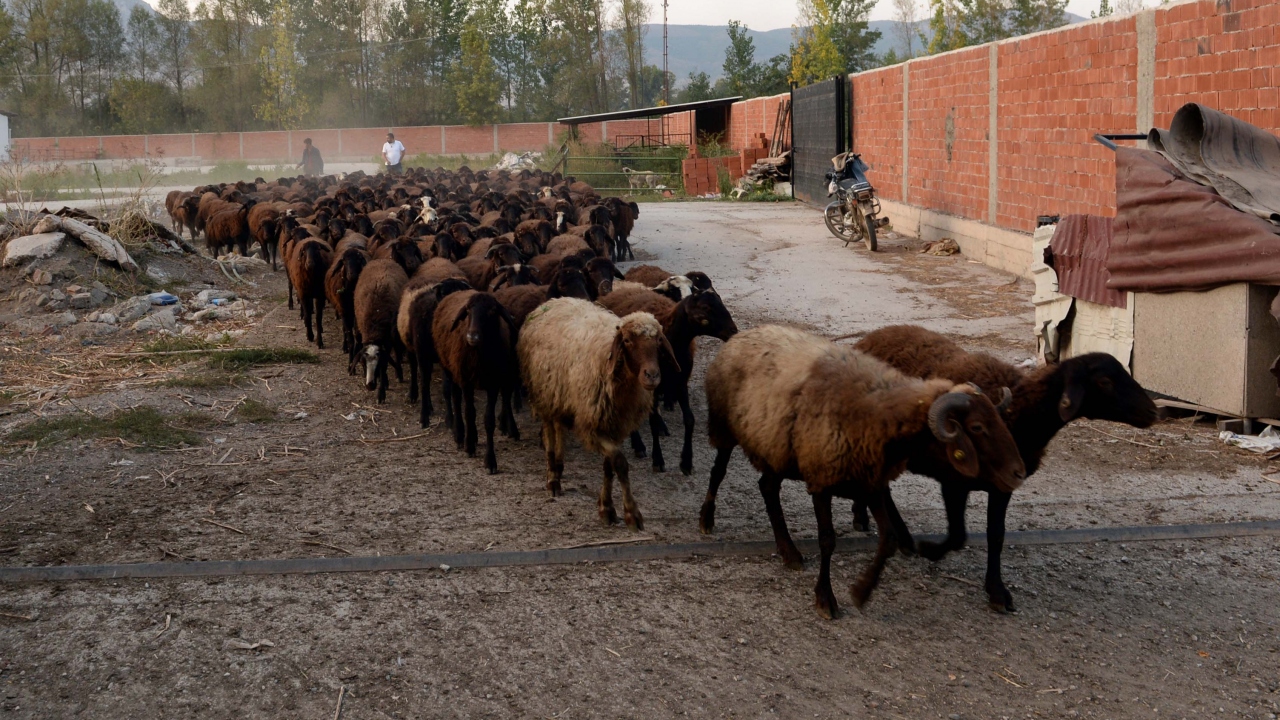 İşlerinin gayet güzel ve başarılı şekilde ilerlediğini dile getiren Yürür, şöyle devam etti:
